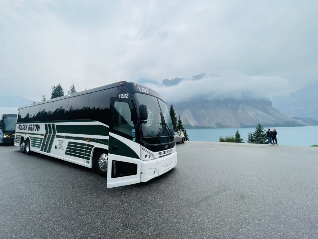 lloyd morris tweet media