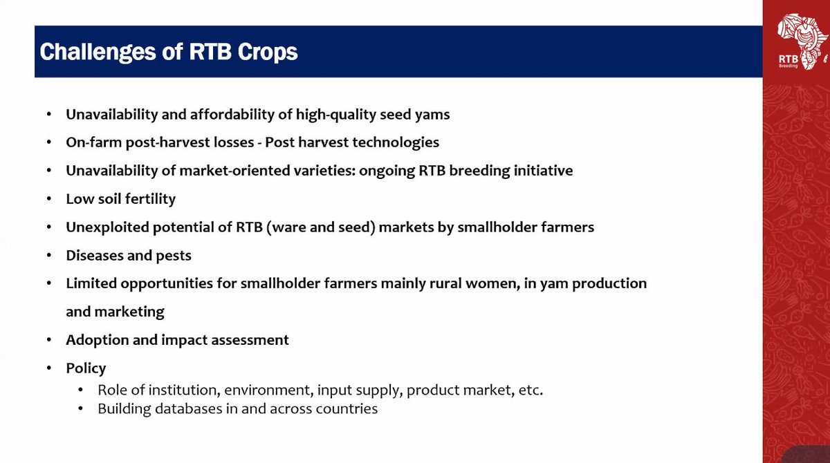 nrcri_umudike's tweet photo. What #RTB Breeding farmers want
โ Quick/early maturing varieties
โ Disease-resistant varieties
โ Drought resistant Varieties
โ Varieties tolerant to wetlands or waterlogged areas
โ Highly nutritional value
-Prof Garba H. Sharubutu
ES, ARCN
#RTBBreeding Kick-off Meeting https://t.co/cFwrK4PVoB