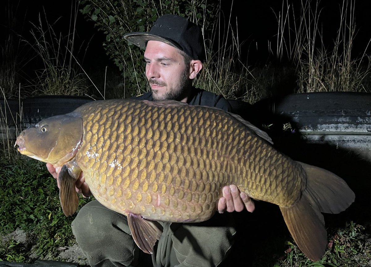 GilardoniScott's tweet photo. Well My Trip To Berners Hall This Year Was Hot &amp; Hard
After Losing One In A Weedy Bay
I Needed To Make It Happen So Rig Change More Sombing In The Near That Makes No Difference 30° Heat
This 34lb 2oz Common Was My Reward
New PB For Me This One Finally In The Dirty 30 Commons Club https://t.co/opCmil1WxB