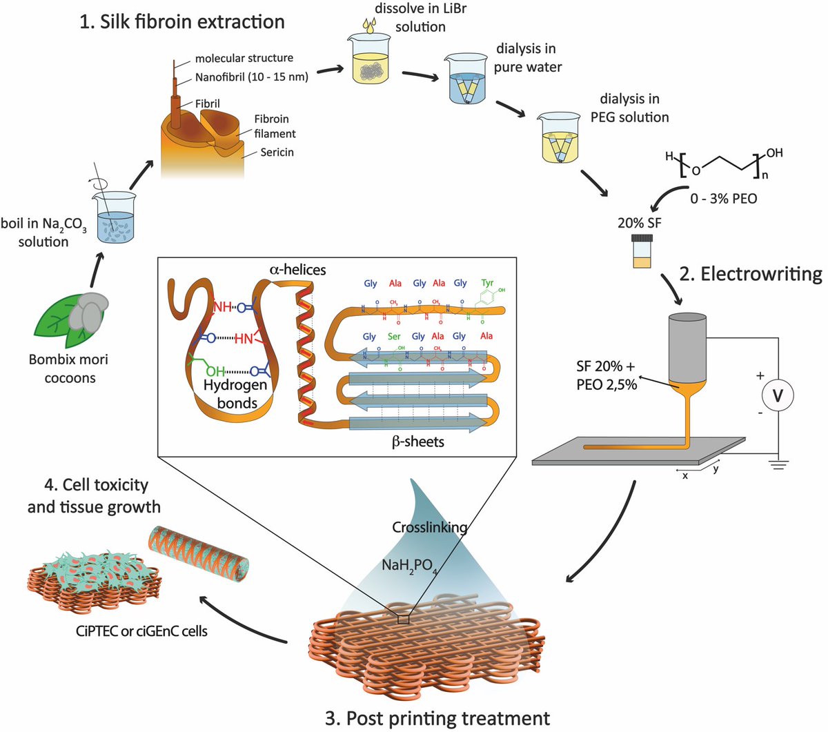 Pharmaceutics Utrecht tweet media