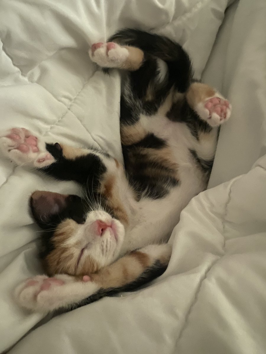 What should i name it? It’s a girl