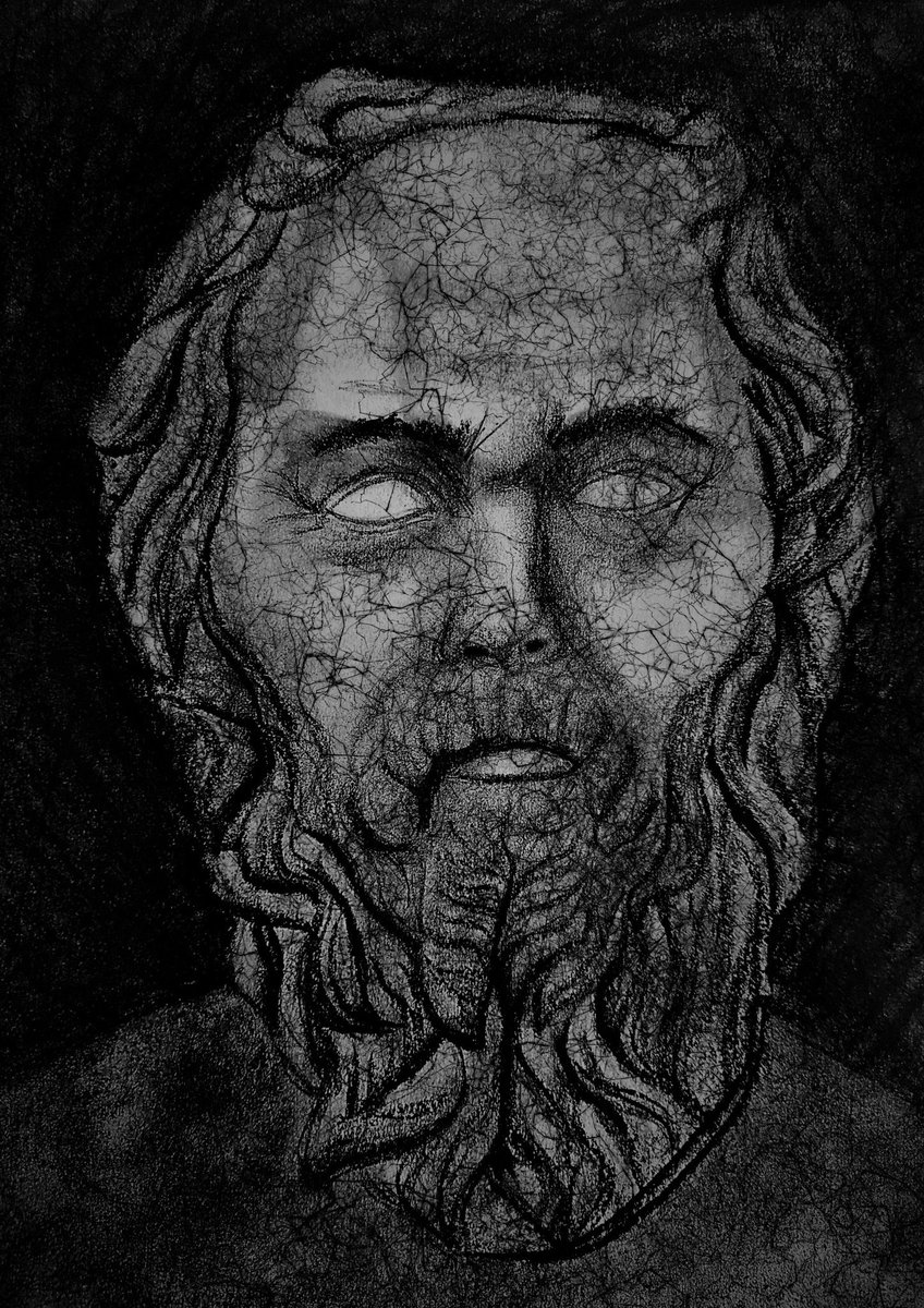 Malvaceae tweet media