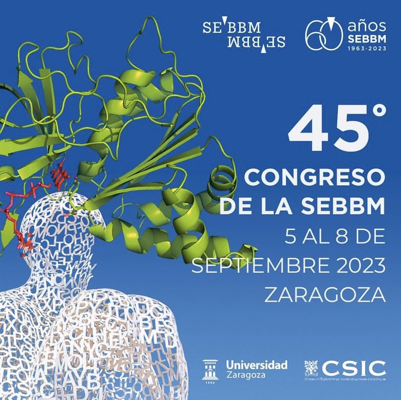 Part of the group is attending the #45congresosebbm these days.

<a href="/amassaguerv/">Anna Massaguer</a> <a href="/S_BaVe/">S</a> <a href="/Cristina_BC2/">Cristina Bermejo</a>