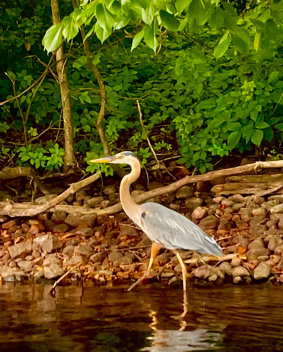BoatingInBoston's tweet image. Share a picture of your favorite moment at Boating In Boston for a chance to win a season pass, and more! ⛵ bit.ly/40dqNMb