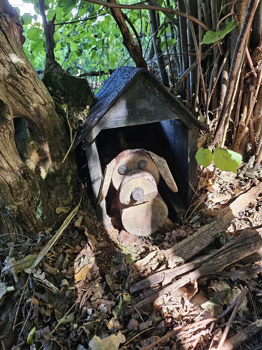 SenLayton's tweet photo. Mal wieder eine schöne Caching-Tour gemacht.
#Geocching @GoGeocaching https://t.co/H4Kgeqmm5t