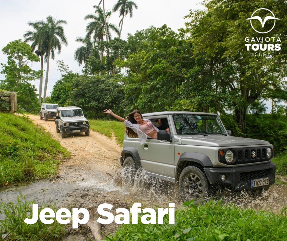 ¡Prepárate para una emocionante aventura en nuestra excursión de jeep safari! Únete a nosotros mientras exploramos terrenos salvajes, atravesamos ríos y descubrimos paisajes impresionantes. ¡No te lo pierdas! 🚙🌿🌄 #JeepSafari #Emoción #cubaunica #conocecubacongaviotatours