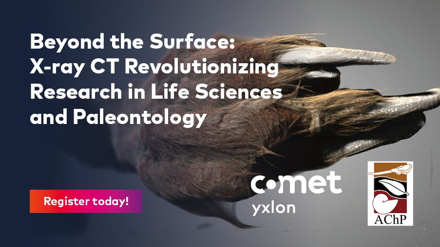 KKupczik's tweet photo. Beyond the Surface: Videoconferencia el 11 de septiembre a las 11 hrs en Chile/Argentina/Brasil sobre la microtomografía de rayos X y sus posibles aplicaciones en la paleontología, antropología, ciencias biológicas y áreas afines. #AChP

Inscripción: https://t.co/GbXpnBh7UP https://t.co/YvT3TNmr7m
