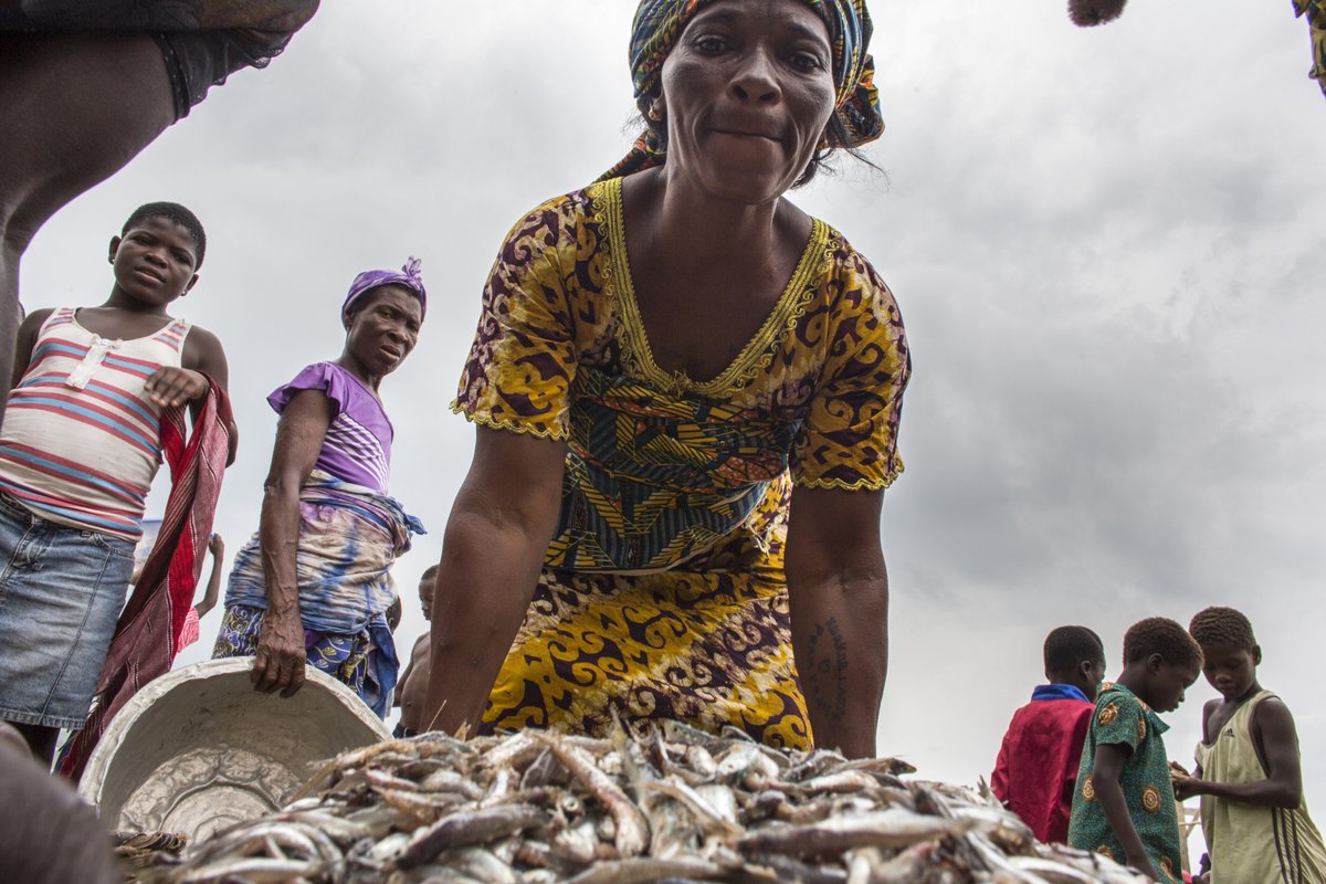 From Ghana to the Caribbean, #fisheries are under pressure from overfishing, habitat destruction, and warming waters caused by climate change. 

Find out what countries are doing about it: wrld.bg/b6H750PFEFO #ClimateStories_WBG