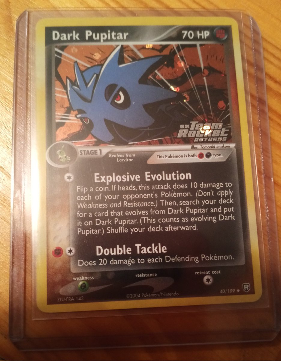 Haley Scully 🐈 tweet media