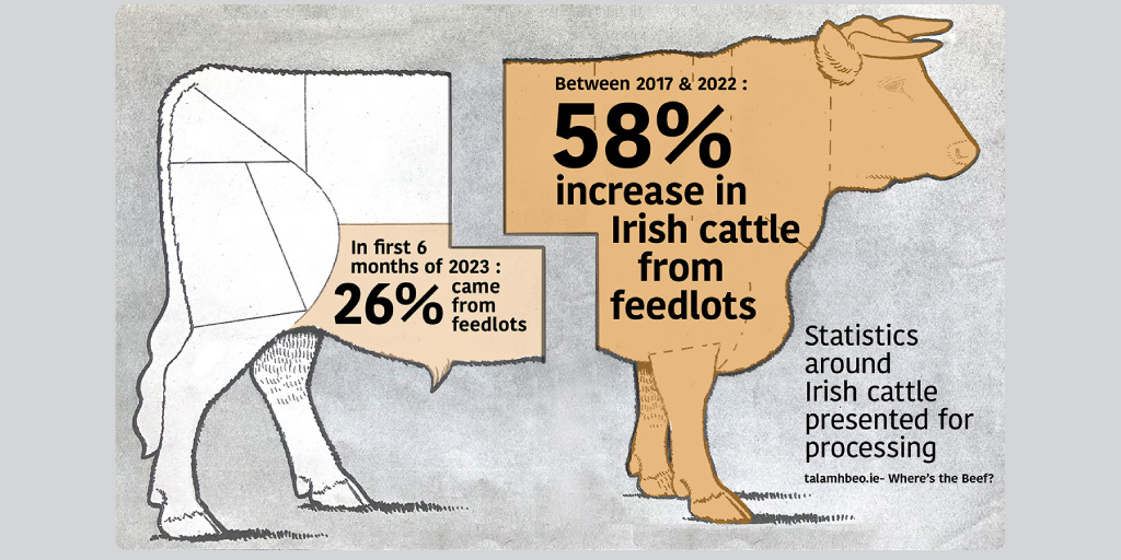 Check out our latest article 🐄 
A hard look at the alarming consolidation occurring within the #Irish #beef industry that belies our reputation for grass-based, nature-friendly farming.👇
talamhbeo.ie/wheres-the-bee…