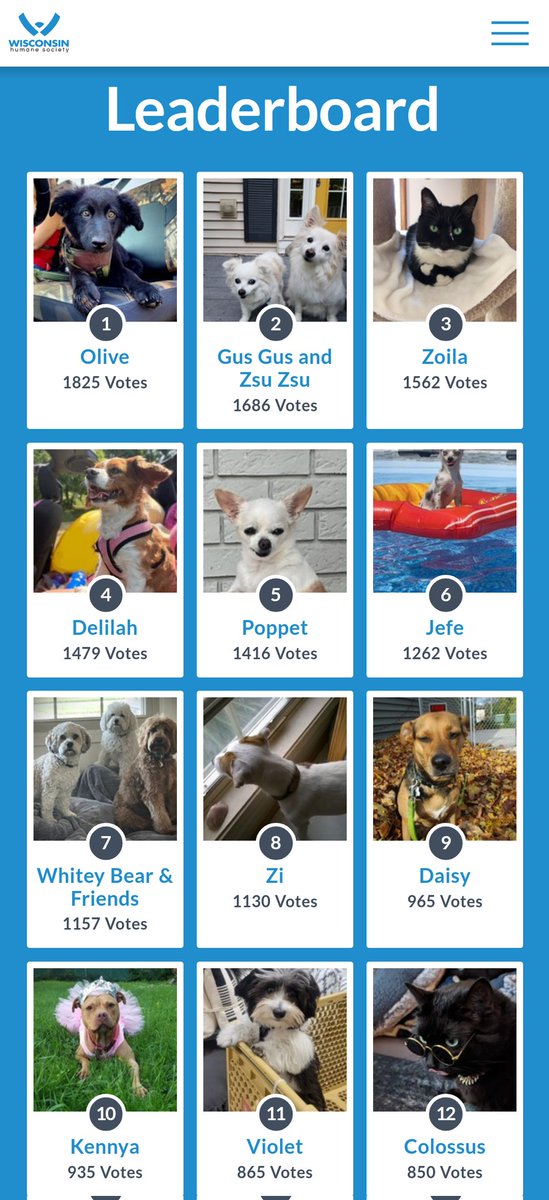 Steven Hudy  tweet media