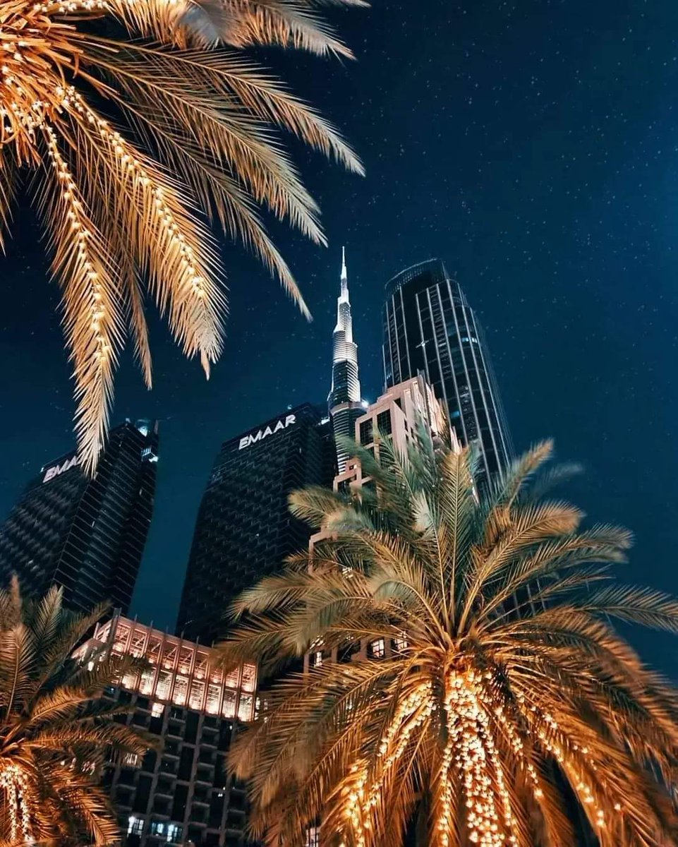Walk In Beauty And Shine At Night 🌉

The Beautiful Sparkling Nights Await You Here..✨

#Dubai #dubailife #UAE #Emirates #flyEmirates #visitDubai