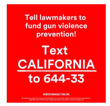 ACaliMomDemands's tweet image. CA @MomsDemand vols along w/ community partner @Move_Meant4Life are at the Capitol today asking #CALeg Senators to vote Yes on #AB28 the Gun Violence Prevention and School Safety Act. This bill will provide sustainable funding for mental health, school safety &amp;amp; #CalVIP programs.