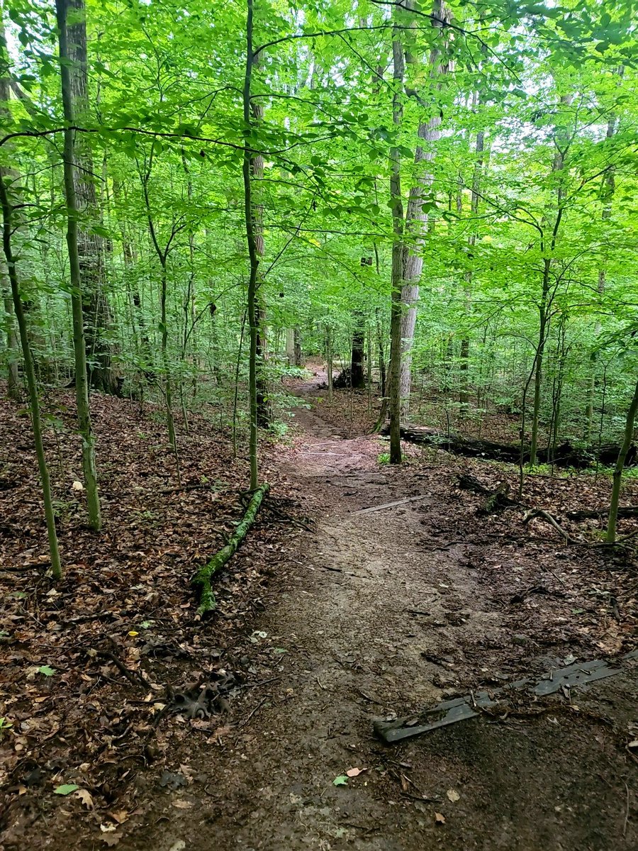 MrsHultman's tweet photo. One path,yet so many choices. 
#AlwaysFindThePositive https://t.co/ufofwrxrU7