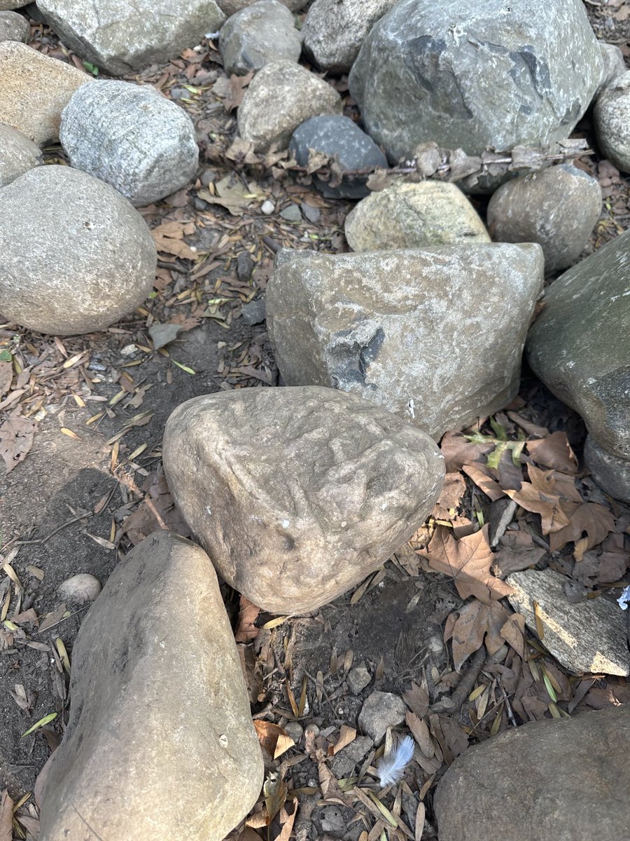 Josh Ritter tweet media