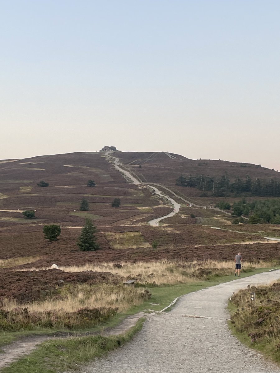 Mark Williams tweet media