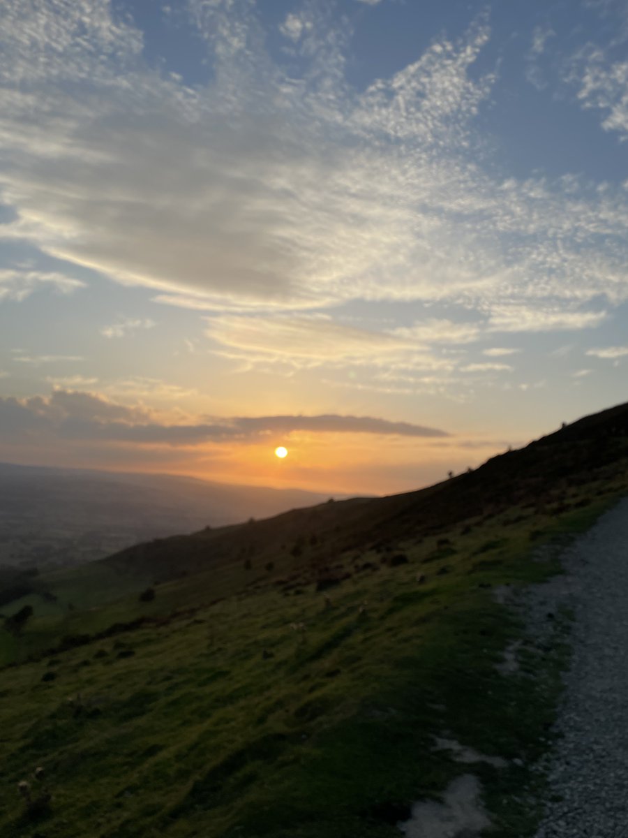 Mark Williams tweet media