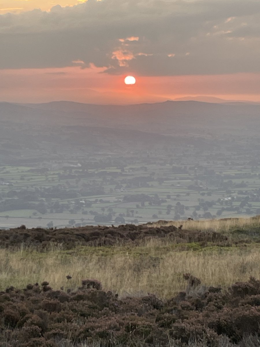 Mark Williams tweet media