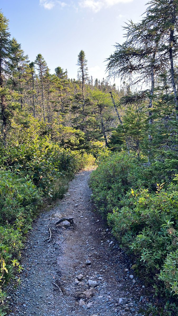 dawn_kimmy_nl's tweet photo. Out berry picking!π«ππ I just started so I donβt have many yet!
#NLcamping https://t.co/2swyqrY7b1