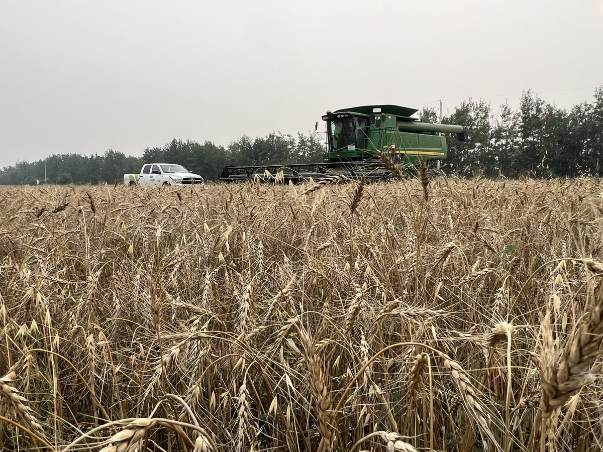 Randi Kuriga tweet media