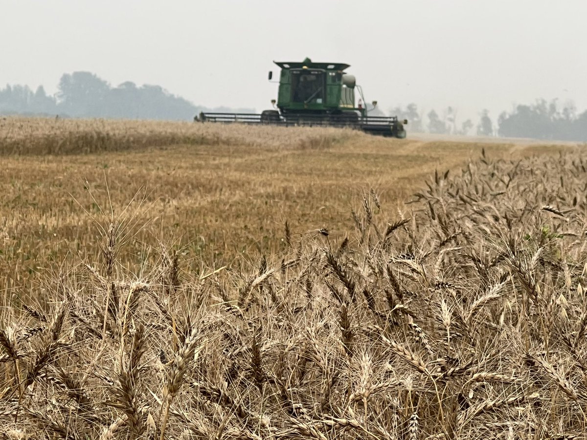 Randi Kuriga tweet media