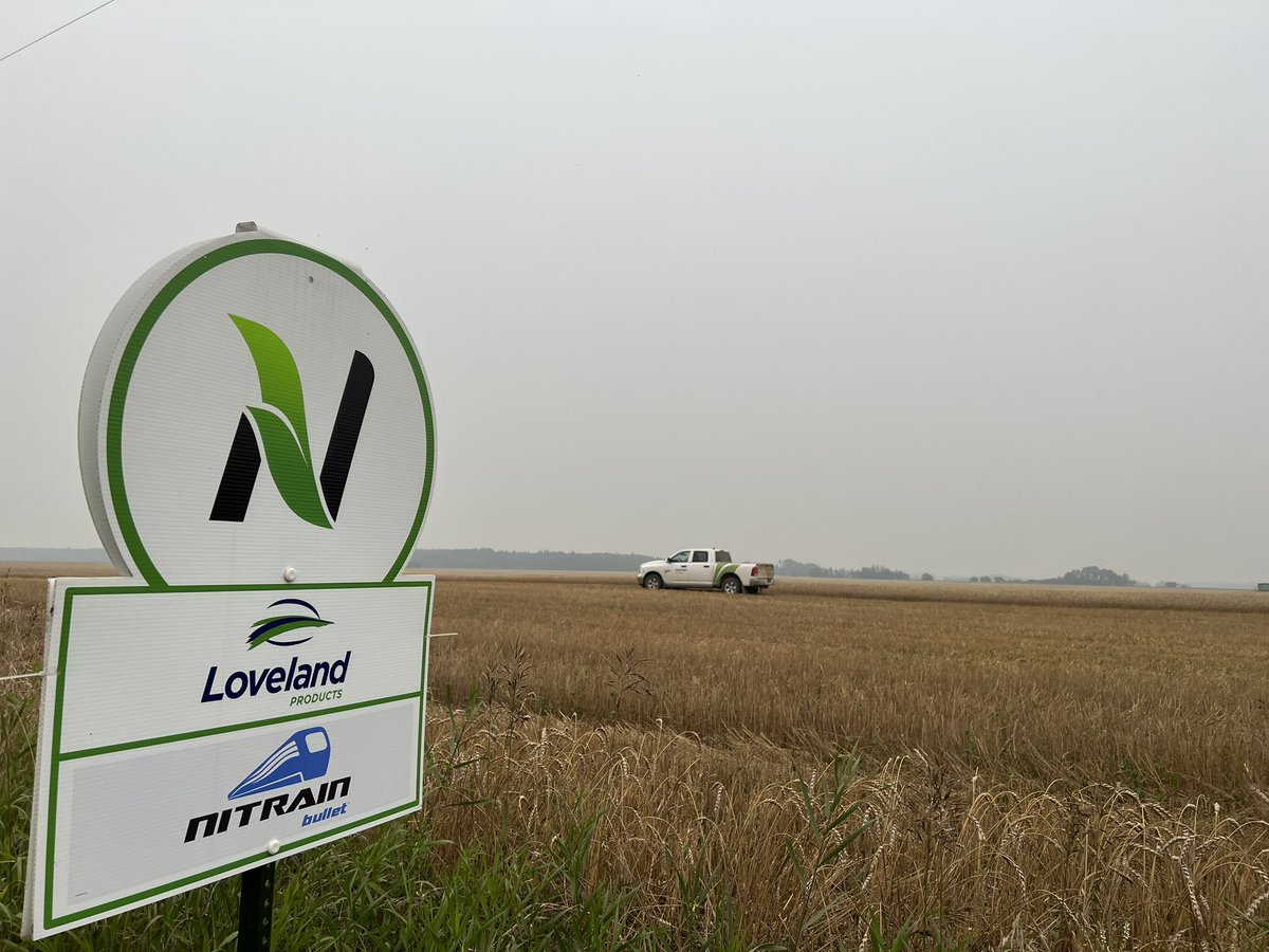 Randi Kuriga tweet media