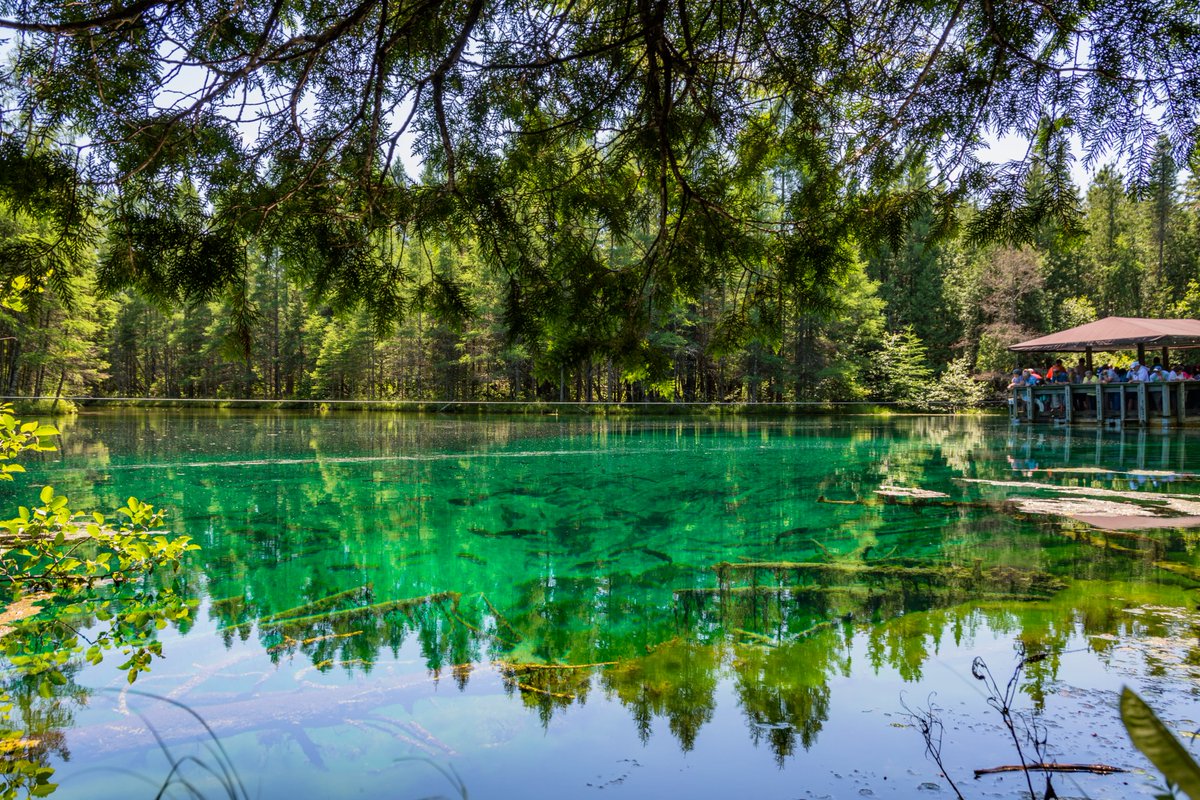 Happy 906 Day! Where's your favorite place in the UP? 
#Kitchitikipi #BigSpring #UP #UpperPeninsula #PalmsBook #MiDNR
📷: Gresham Halstead