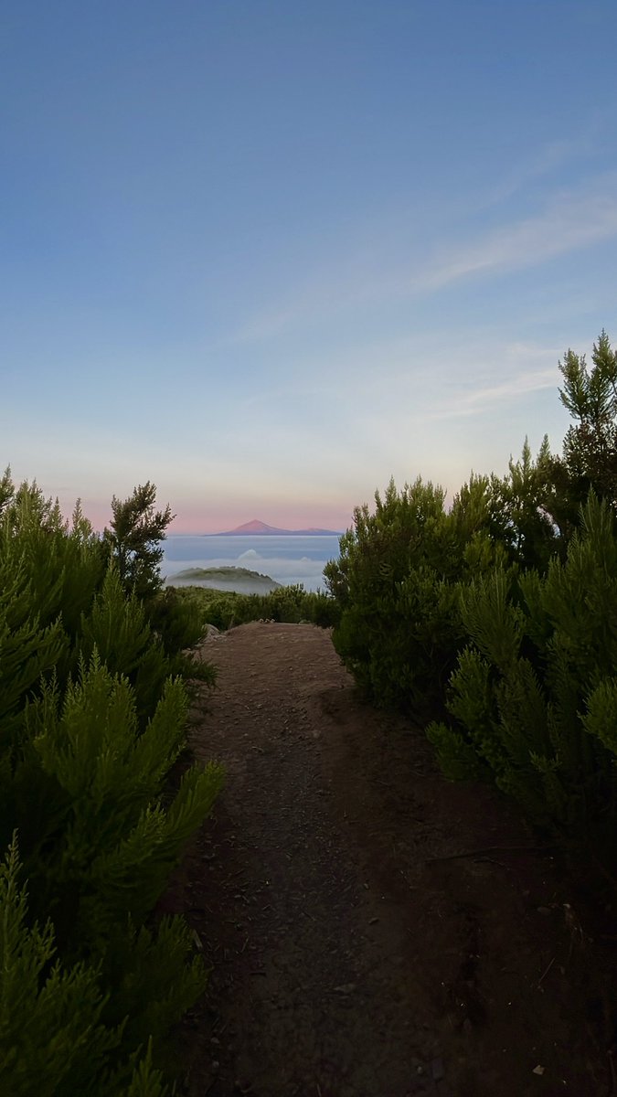 Una obra de arte🎨 #LaGomera