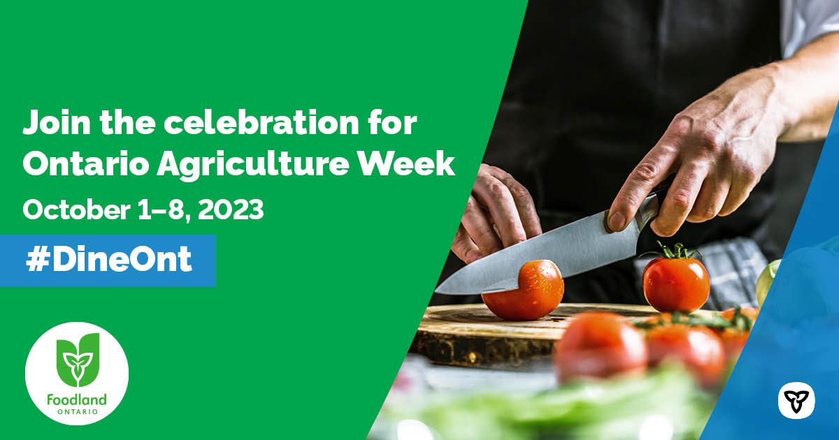 Attention Ontario restaurants! 📣
Want to show you #loveONTfood this Ontario Agriculture Week?

Join our #DineOnt initiative to encourage people to dine in this October 1-8.

Visit Dine Ontario | ontario.ca to receive free digital promotional materials.