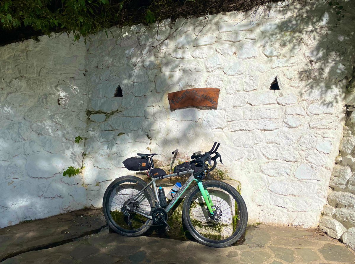 Caroline Livesey tweet media