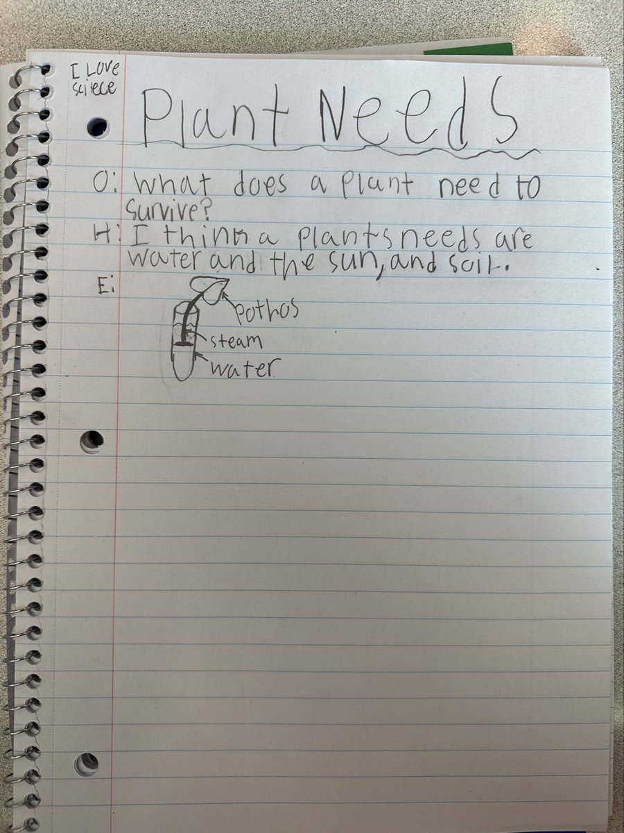 thomps4owls's tweet photo. Today we set up an experiment to dive into plant needs! Do you think our pothos will survive? @cfisdmcgown #OwlAboutTheBest #CFISDScience https://t.co/uKCFJWqm6z