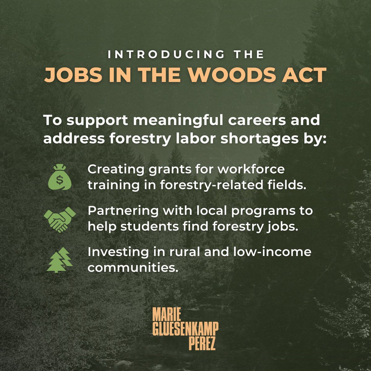 We need to cultivate our next generation of folks who work in the woods – it's how we strengthen our forest product economy for years to come.

Today, <a href="/RepLCD/">Archive: Rep. Lori Chavez-DeRemer</a> and I introduced a bipartisan bill to help young people build careers in the woods and access crucial job training. 🌲