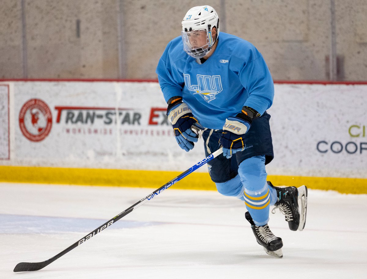LIU Men’s Ice Hockey tweet media