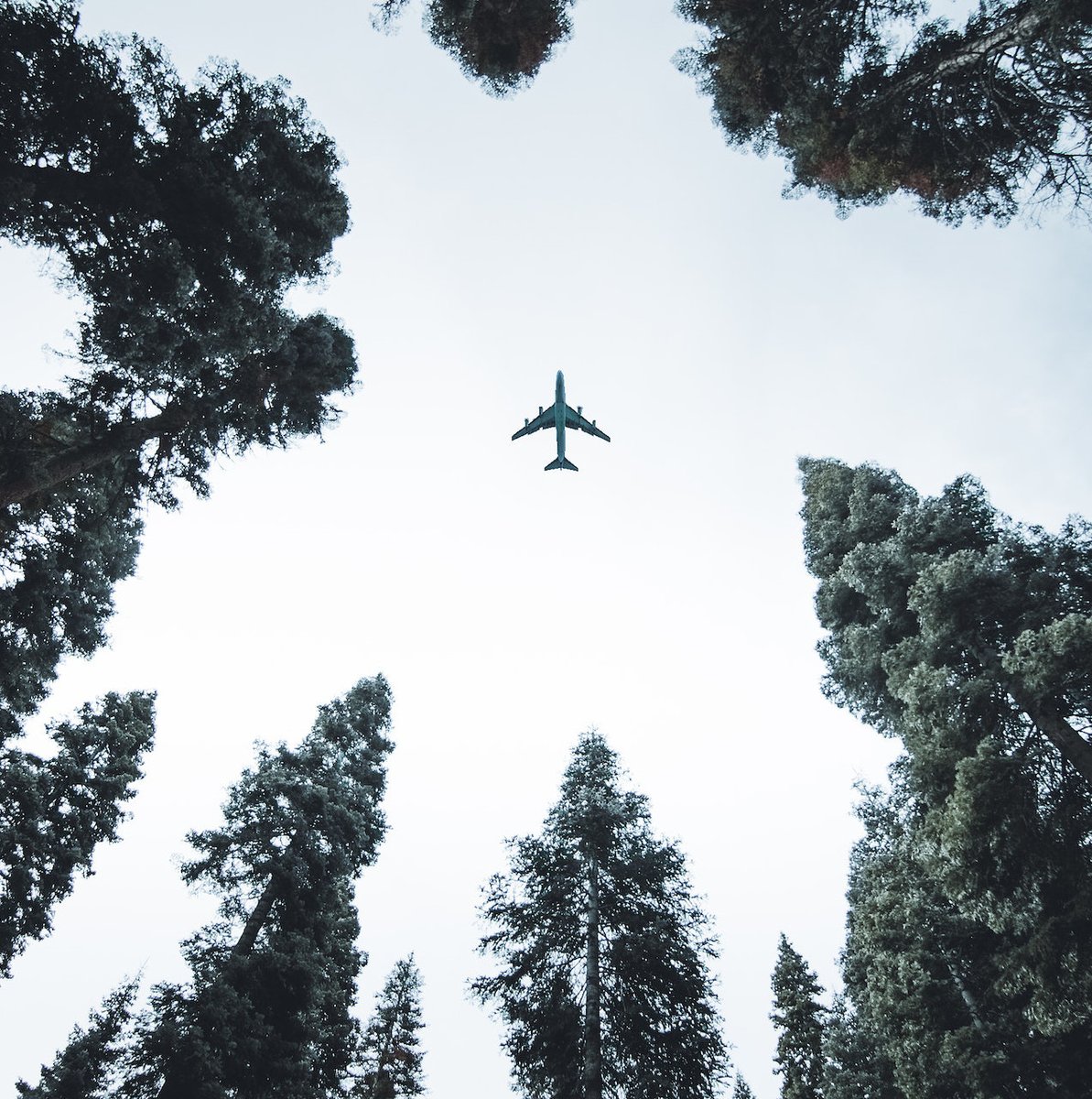 DannyeChase's tweet photo. I am thrilled to say my horror story “The Falling” will appear on the podcast @podthirteen as a Patreon exclusive!
A new flight attendant learns there are some things you don’t talk about in the air. Release date TBA
#DannyeWrites #originalhorror #podcast #writing #thirteen https://t.co/agvej14Izt