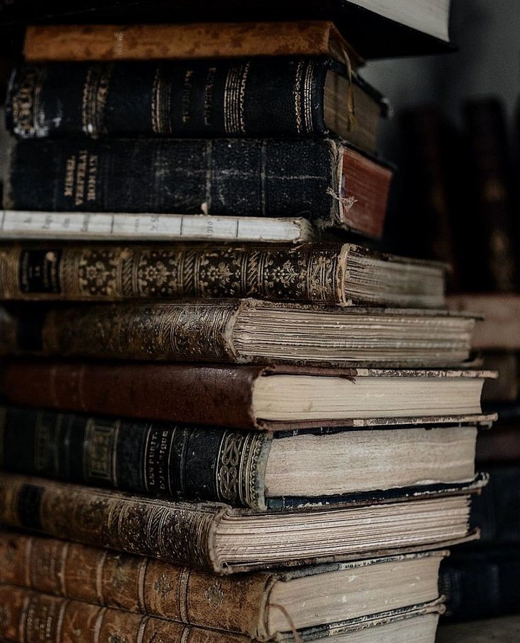 Dxntlxxkhere's tweet image. ⠀⠀⠀⠀⠀⠀⠀⠀⠀⠀⠀⠀⠀⠀⠀⠀⠀⠀⠀⠀⠀⠀⠀⠀⠀⠀⠀𝙅𝙖𝙨𝙤𝙣 𝙈𝙞𝙡𝙡𝙚𝙧.
⠀⠀⠀⠀⠀⠀⠀⠀⠀⠀⠀⠀⠀⠀⠀⠀⠀⠀⠀⠀⠀⠀⠀
A 𝘴𝘦𝘦𝘥𝘺 version of Indiana Jones.
⠀⠀⠀⠀⠀⠀⠀⠀⠀⠀⠀⠀⠀⠀⠀⠀⠀⠀⠀⠀⠀⠀⠀