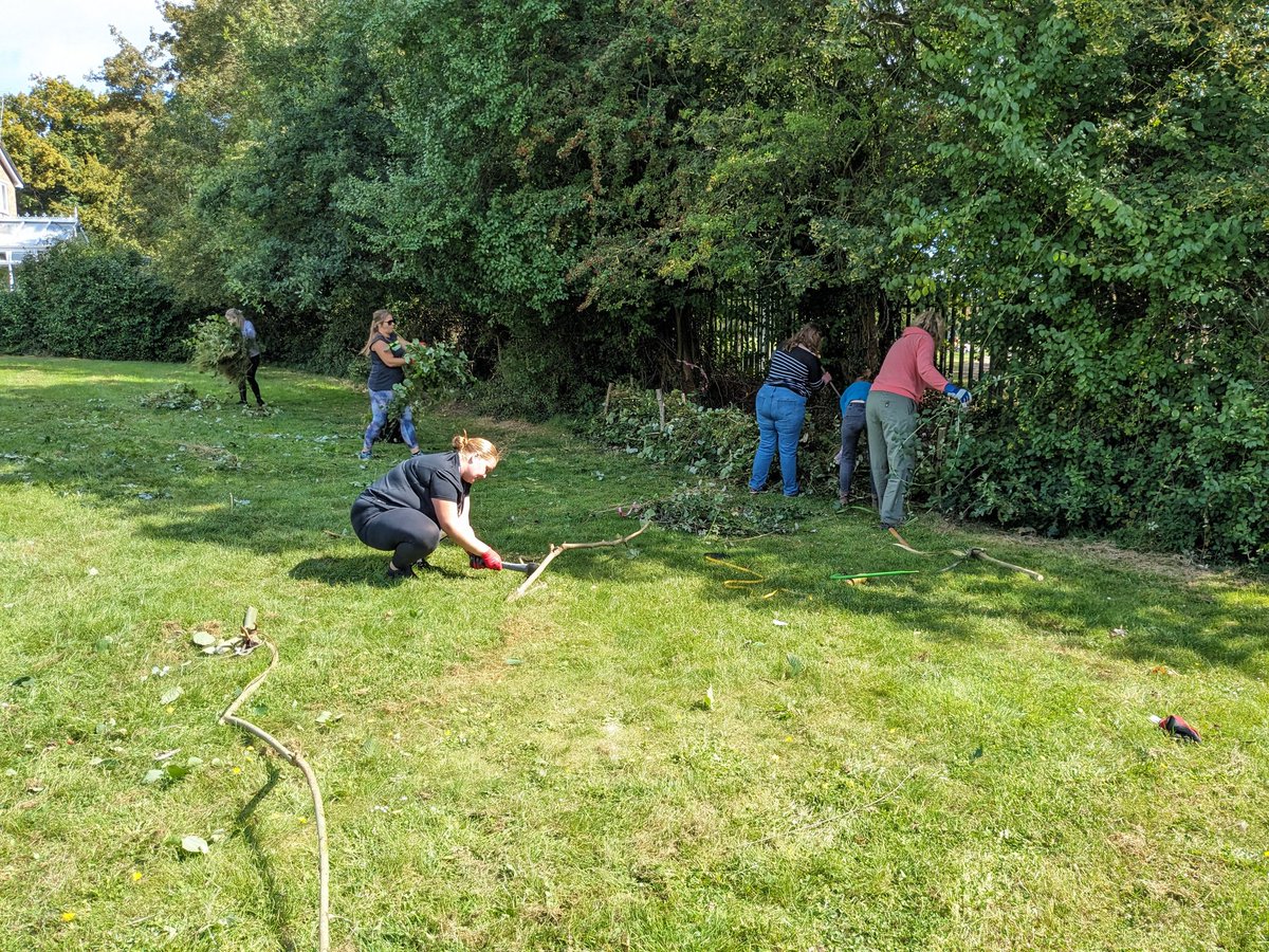 Some of our staff volunteered over the summer to enhance our hedgerows for our #hoghighways  #herpsinschoolssurvey and #hookbeelines. Photo is dead hedge creation to protect a mini meadow. #wilderschool #teamwilder
