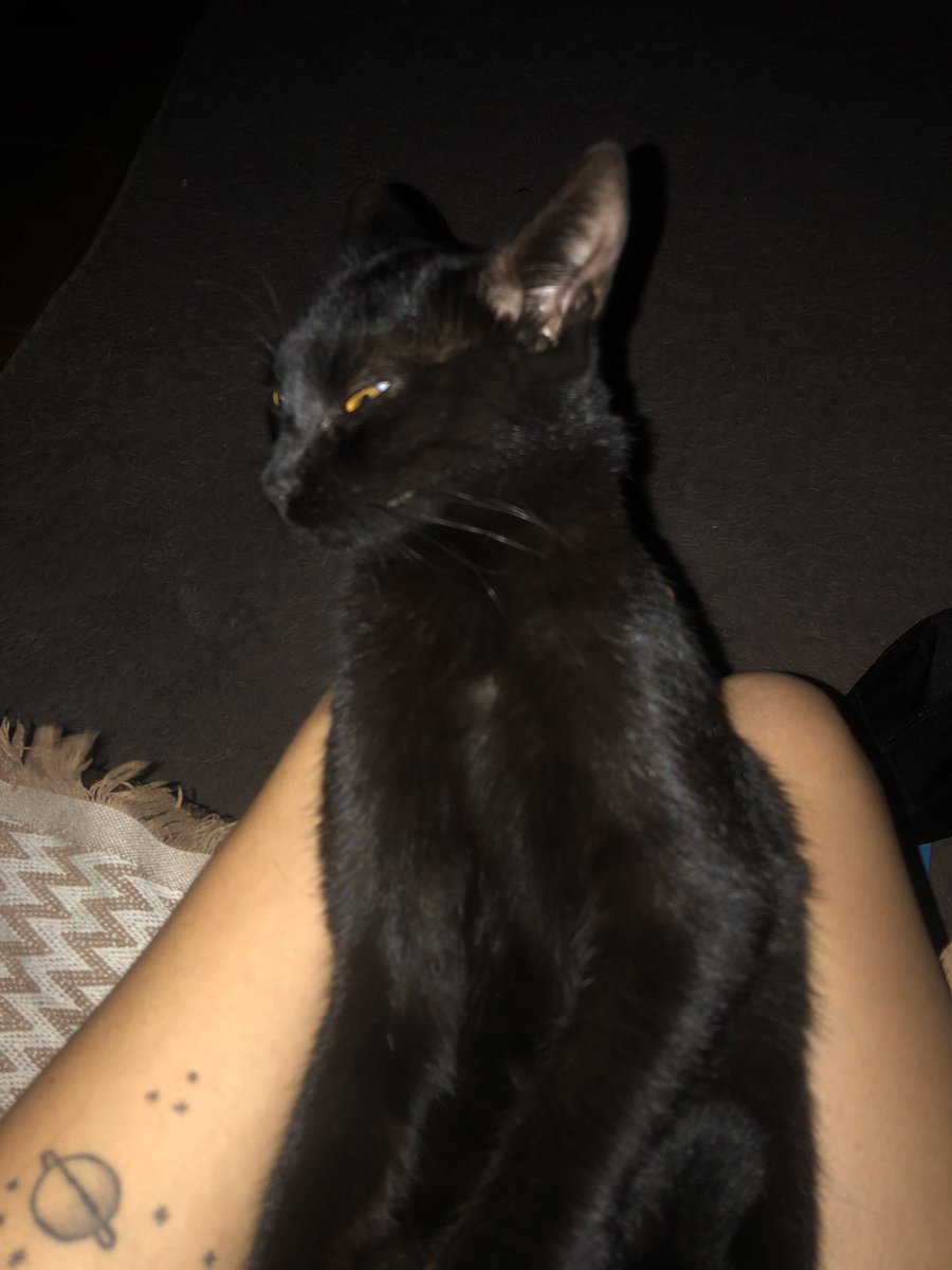 mdluaa's tweet photo. Tá tão grande, minha pretinha 🥺❤️ https://t.co/fidABQeOqn