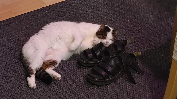 This could be u https://t.co/Q1psR7gqmY