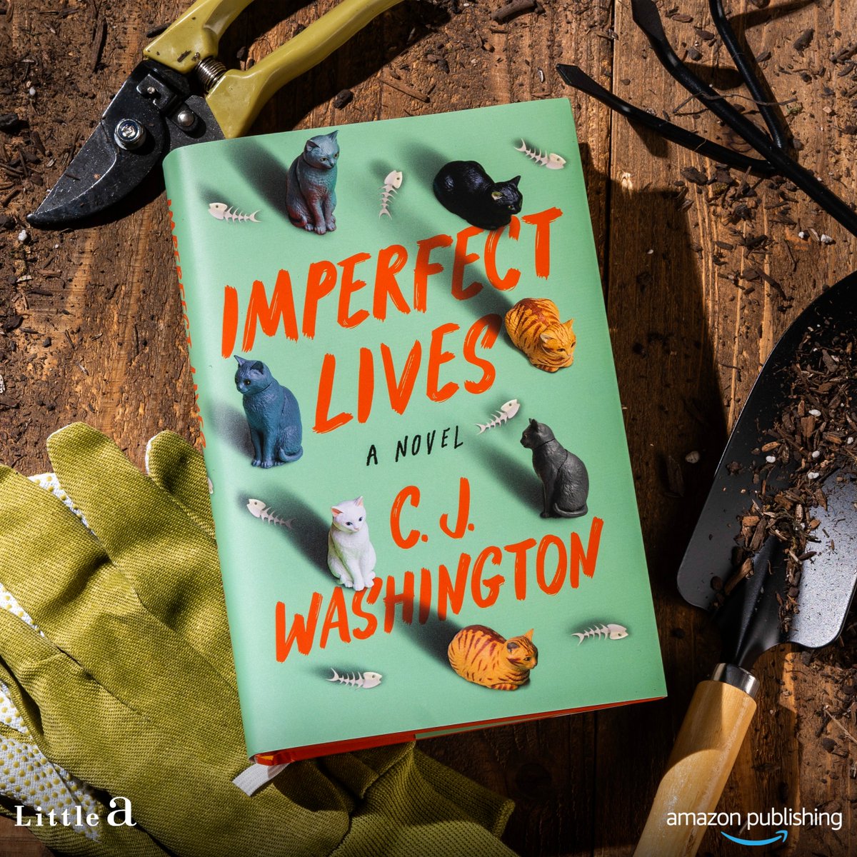 Amazon Publishing tweet media