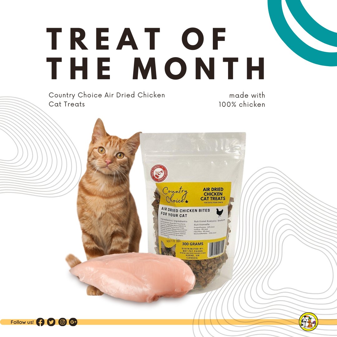 🐱🌟 Treat of the Month!🌟🐱

Spoil your feline friend with our delectable Country Choice Air Dried Chicken Cat Treats. 😻 Irresistibly tasty and packed with goodness! Don't let your cat miss out on this special treat. 🐾🍗 #CatTreats #TreatOfTheMonth #FelineFavorites