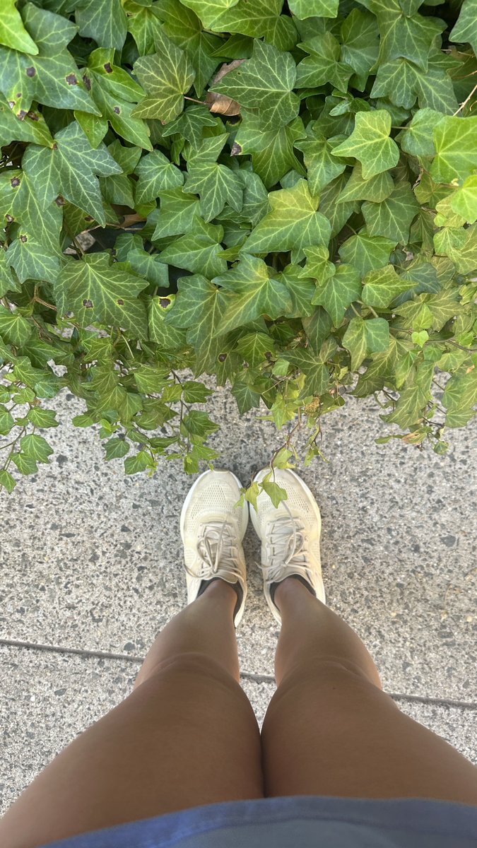 Path to 26.2 Miles tweet media