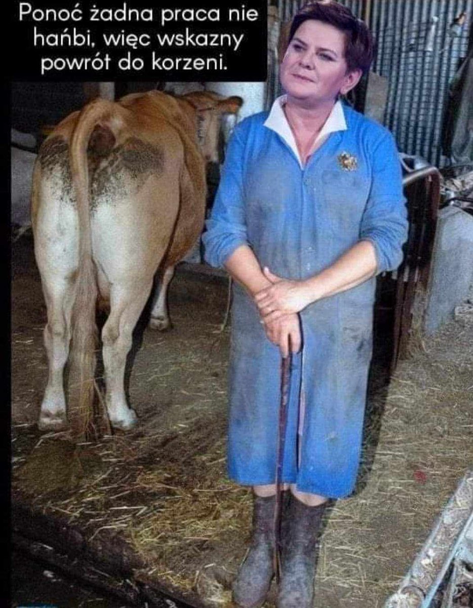 4markch's tweet photo. @pisorgpl @BeataSzydlo https://t.co/kVvQRxCkMf