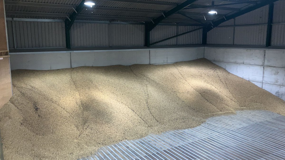 #Harvest23 has finished today! A relief and having a good harvest team has helped us through a challenging harvest. Off for a 🍺