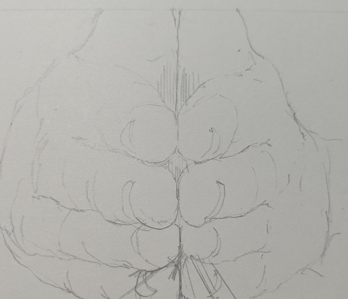 今日の進歩。
正面向き?の合掌は描きづらい。 