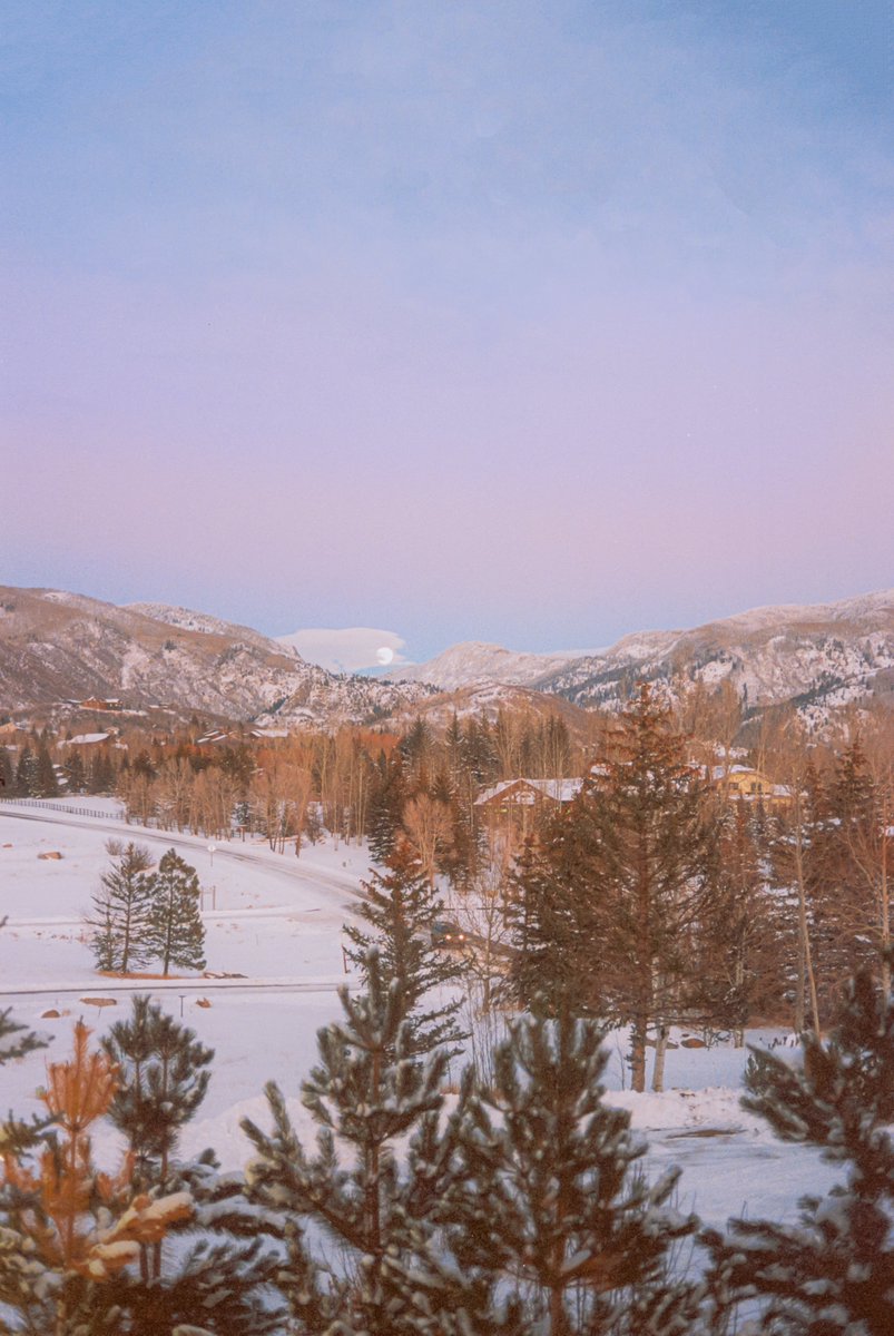 AlexKittoe's tweet photo. Winter pastels on 35mm https://t.co/G5urq9TmaV