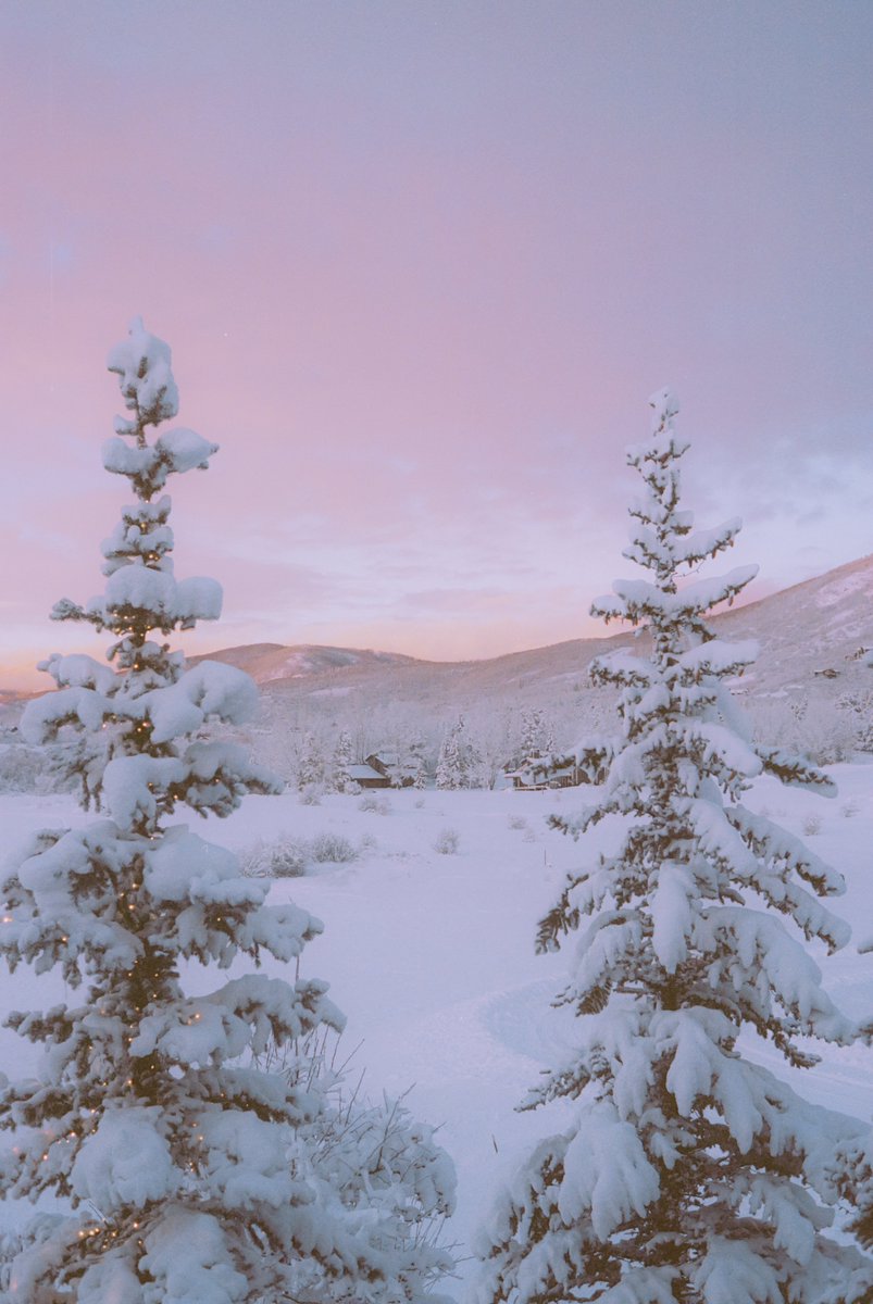 AlexKittoe's tweet photo. Winter pastels on 35mm https://t.co/G5urq9TmaV