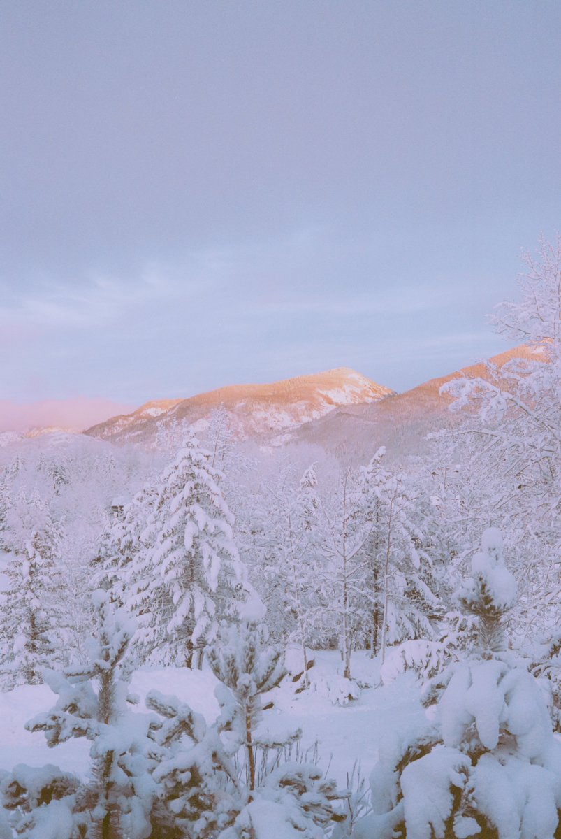 AlexKittoe's tweet photo. Winter pastels on 35mm https://t.co/G5urq9TmaV
