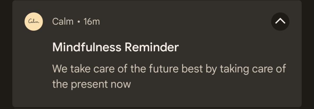 eSeFdude's tweet photo. @calm FYI, your mindfulness reminder push notification has been the same message every day for over a week https://t.co/WjLRQ9juxH