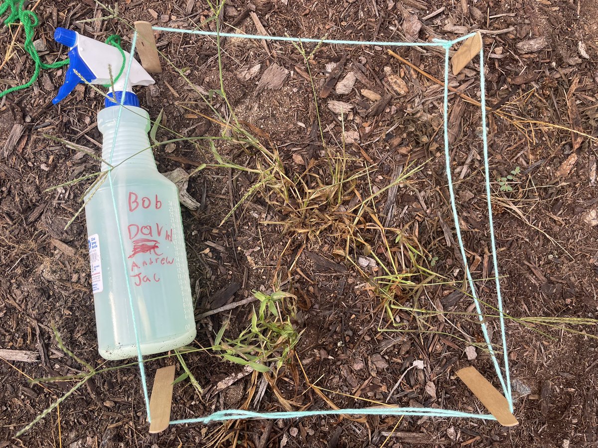 It’s been a fun day of molecules, gummy bear experimenting, mulching, propagating, and crime solving <a href="/EndeavorCharter/">Endeavor Charter School</a>! #ECSscience