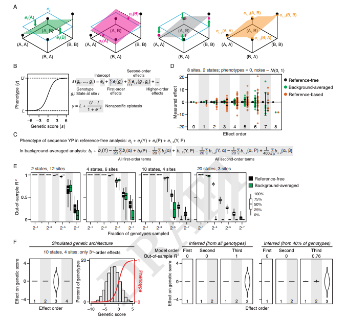 Kevin K. Yang 楊凱筌 (@kevinkaichuang) on Twitter photo On the simplicity of protein sequence-function relationships
"We find that main and pairwise effects, together with a simple form of global nonlinearity, account for a median of 96% of total variance."
<a href="/whatdoidohaha/">Yeonwoo Park</a> <a href="/bphmetz/">Brian Metzger</a> <a href="/JoeThorntonLab/">JoeThornton</a>
biorxiv.org/content/10.110… On the simplicity of protein sequence-function relationships
"We find that main and pairwise effects, together with a simple form of global nonlinearity, account for a median of 96% of total variance."
<a href="/whatdoidohaha/">Yeonwoo Park</a> <a href="/bphmetz/">Brian Metzger</a> <a href="/JoeThorntonLab/">JoeThornton</a>
biorxiv.org/content/10.110…